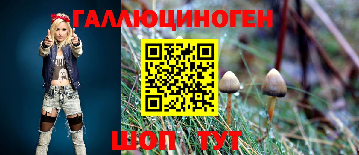 Благовещенск  Псилоцибиновые грибы Magic Shrooms  Псилоцибиновые грибы Psilocybe  Вход с VPN 